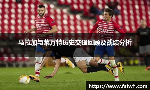 MILE米乐官方网站